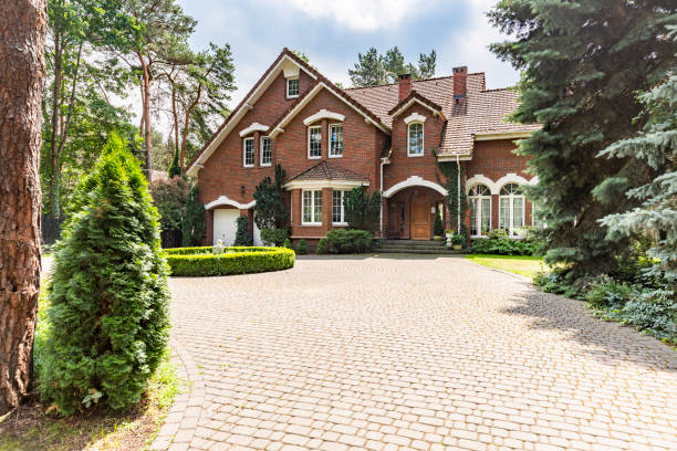 Best Local Driveway Pavers  in Steiner Ranch, TX